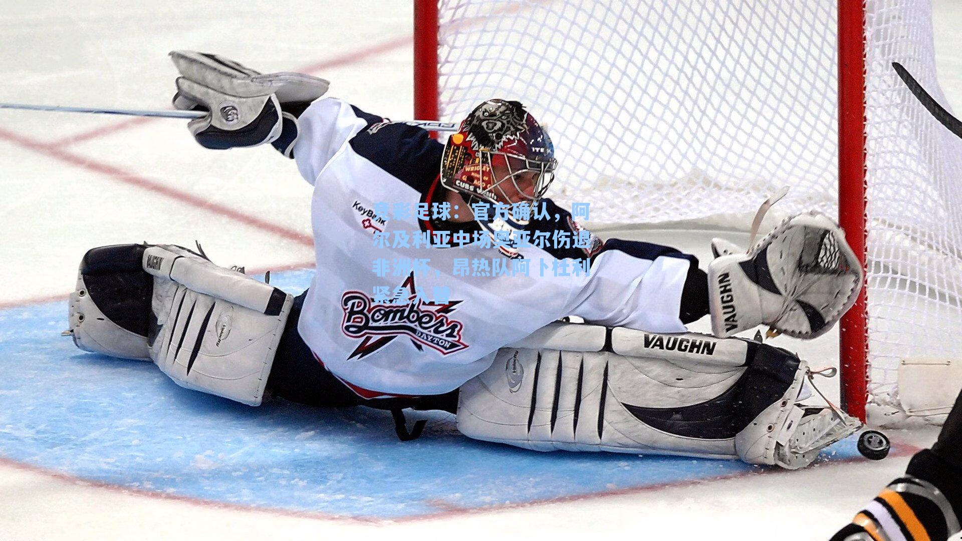 官方确认，阿尔及利亚中场奥亚尔伤退非洲杯，昂热队阿卜杜利紧急入替