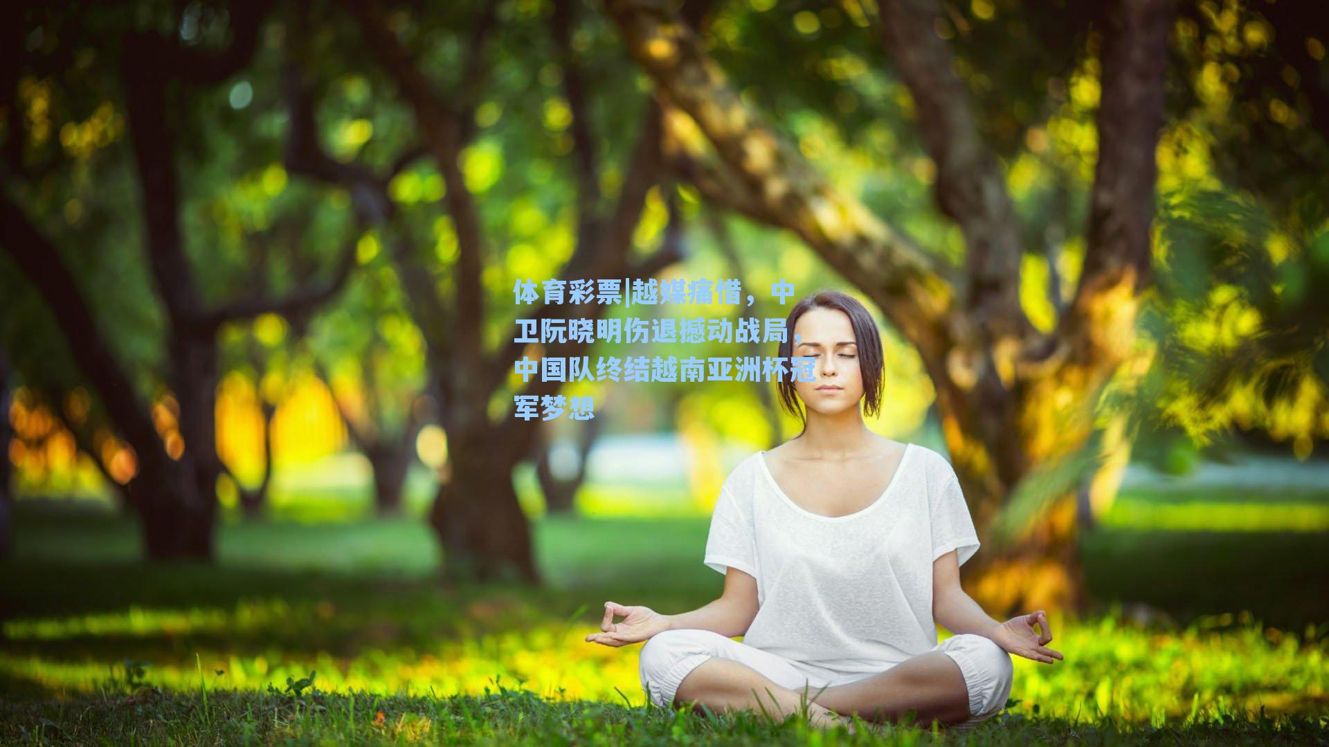 越媒痛惜，中卫阮晓明伤退撼动战局，中国队终结越南亚洲杯冠军梦想