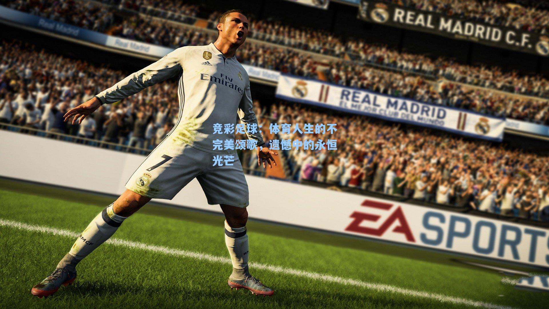 体育人生的不完美颂歌，遗憾中的永恒光芒