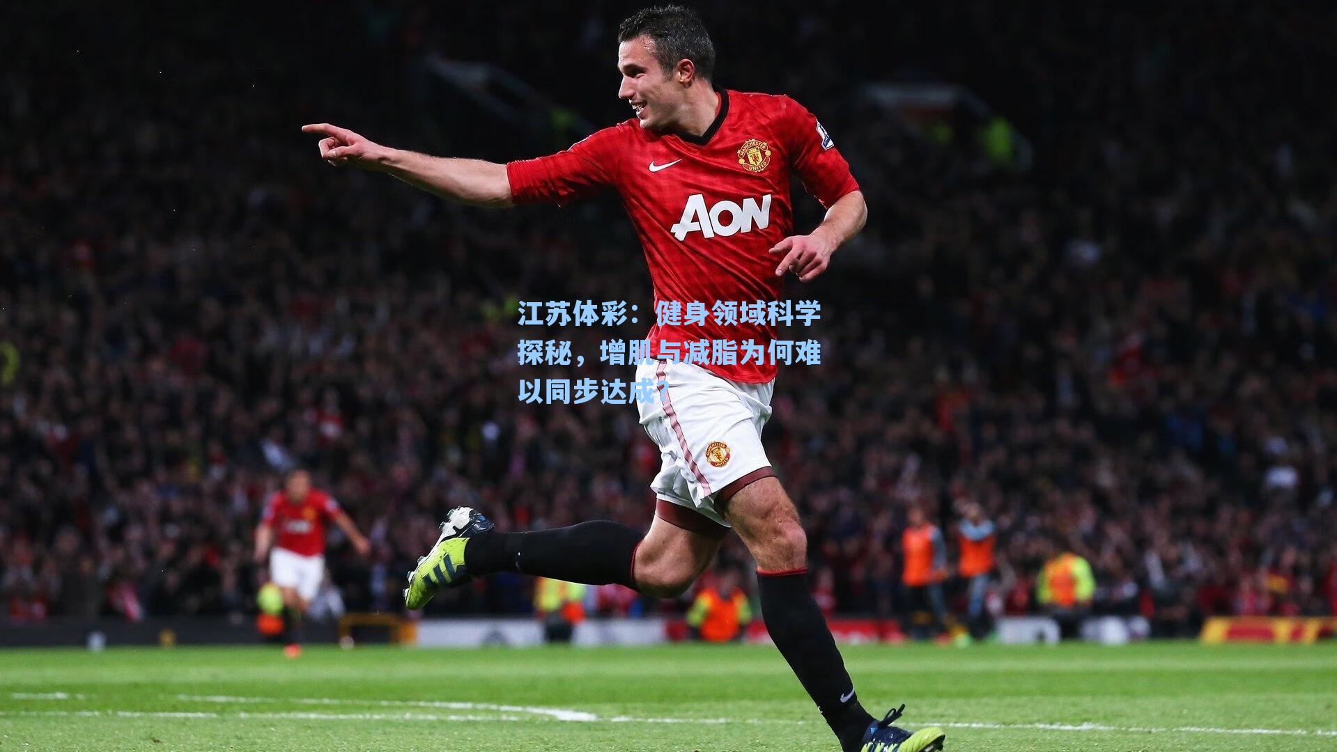 健身领域科学探秘,增肌与减脂为何难以同步达成?